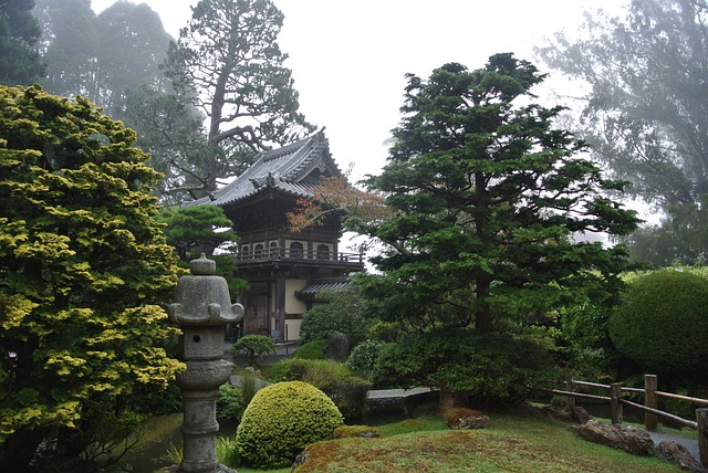 גן התה היפני (Japanese Tea Garden)