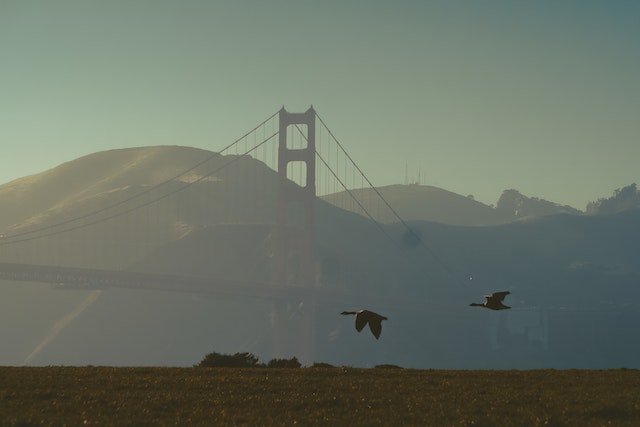 קריסי פילד הוא יעד פופולרי בסן פרנסיסקו, הידוע בנופים המדהימים של גשר שער הזהב והמפרץ