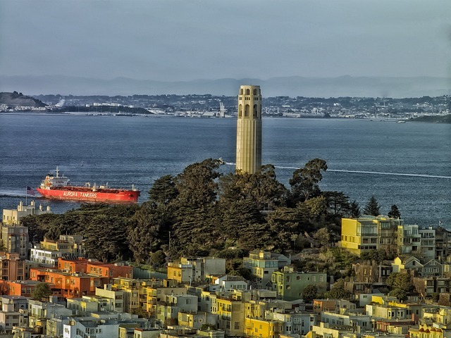 מגדל קויט בסן פרנסיסקו הוא מקום מדהים לבקר בו בכל עת של השנה