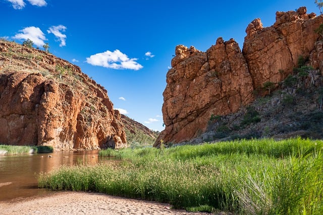 הפארק הלאומי קינגס קניון (Kings Canyon) כל מה שצריך לדעת