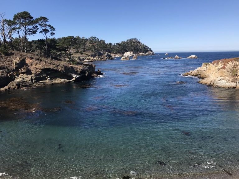 Mcway falls - Julia Pfeiffer Burns State Park